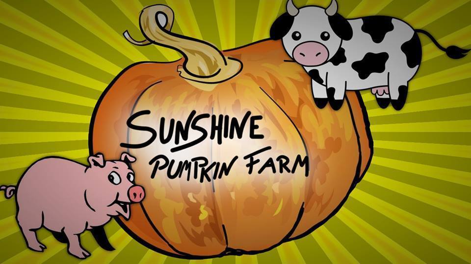 The Sunshine Pumpkin Farm 